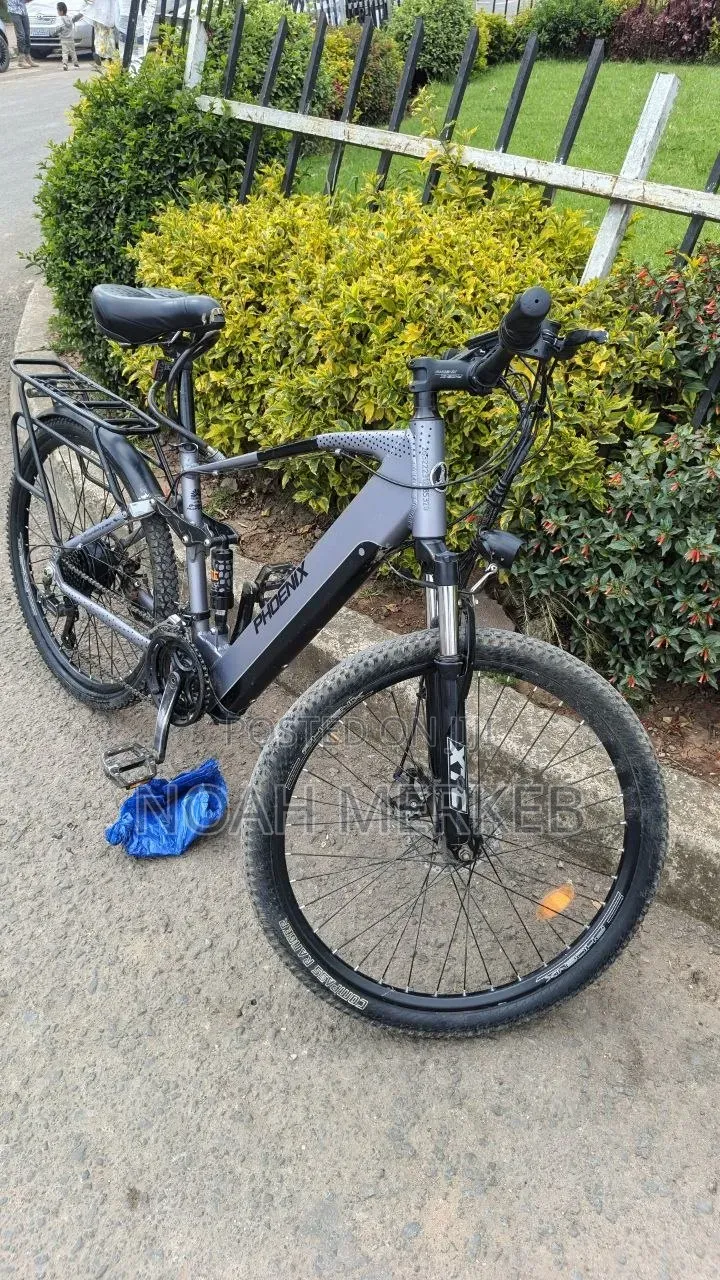 Bike Phoenix Electric