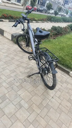 Bike Phoenix Electric