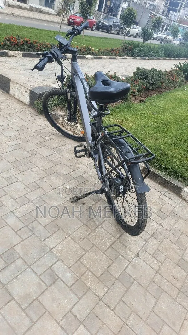 Bike Phoenix Electric