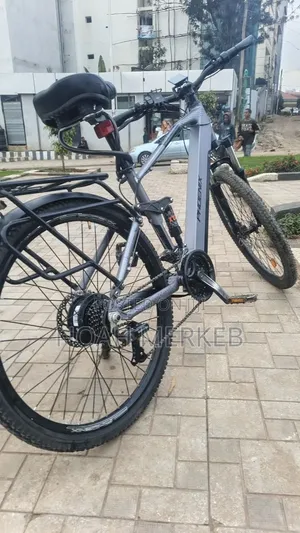 Bike Phoenix Electric