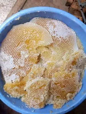 የጎጃም የሞጣ ማር
