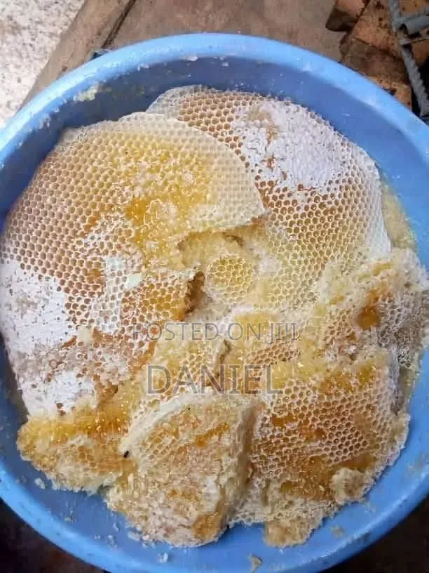የጎጃም የሞጣ ማር