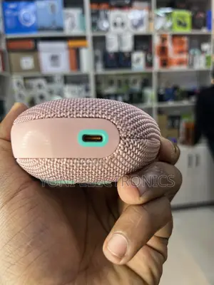JBL Clip 5 Portable Waterproof Bluetooth Speaker – Pink/Teal