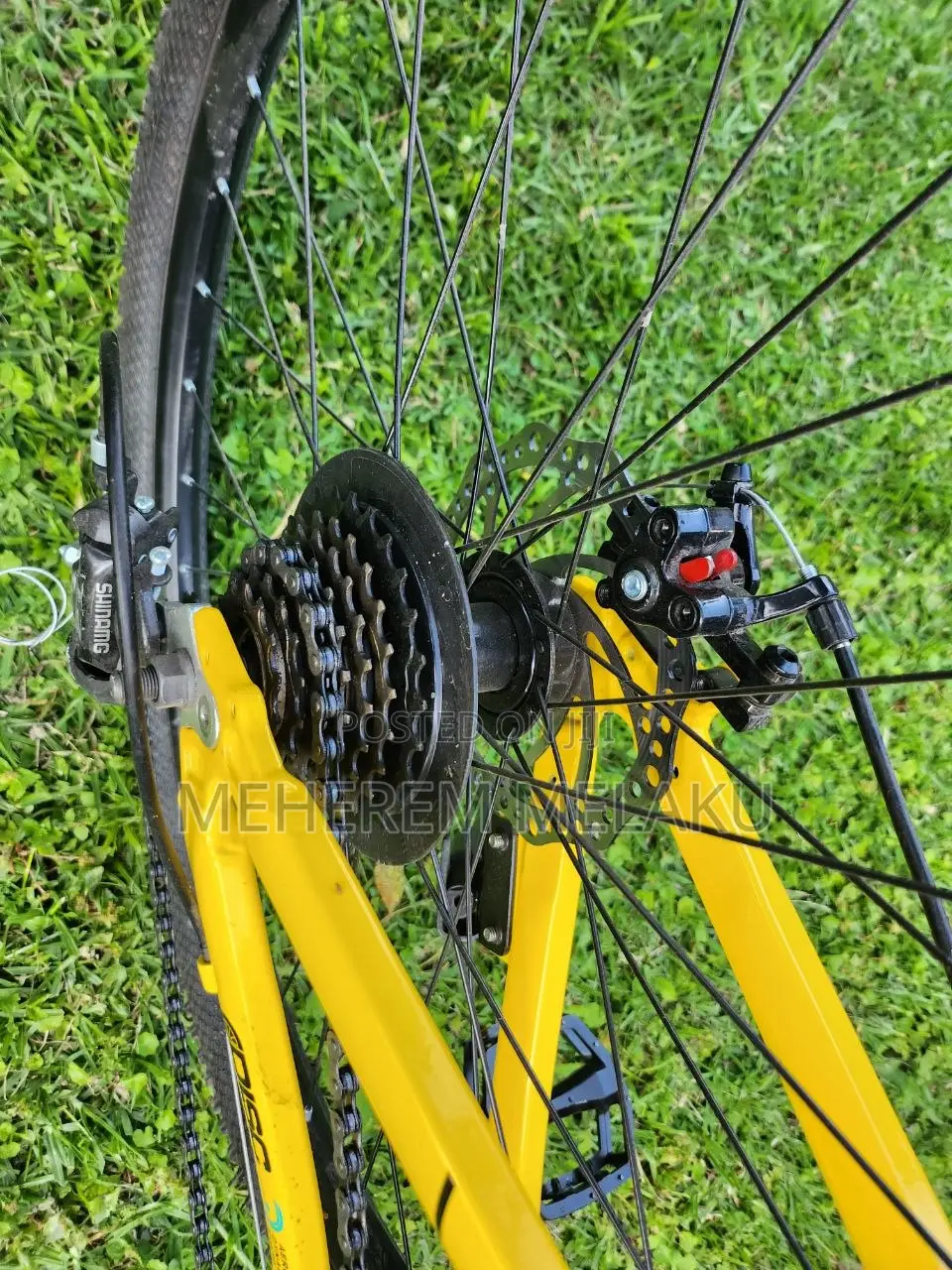 Mountain Bicycle