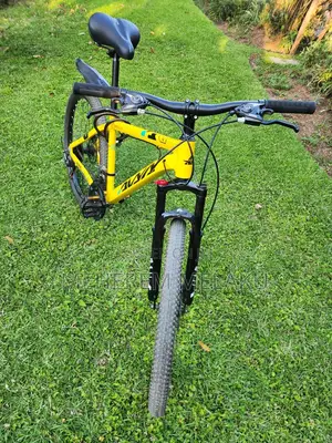 Mountain Bicycle