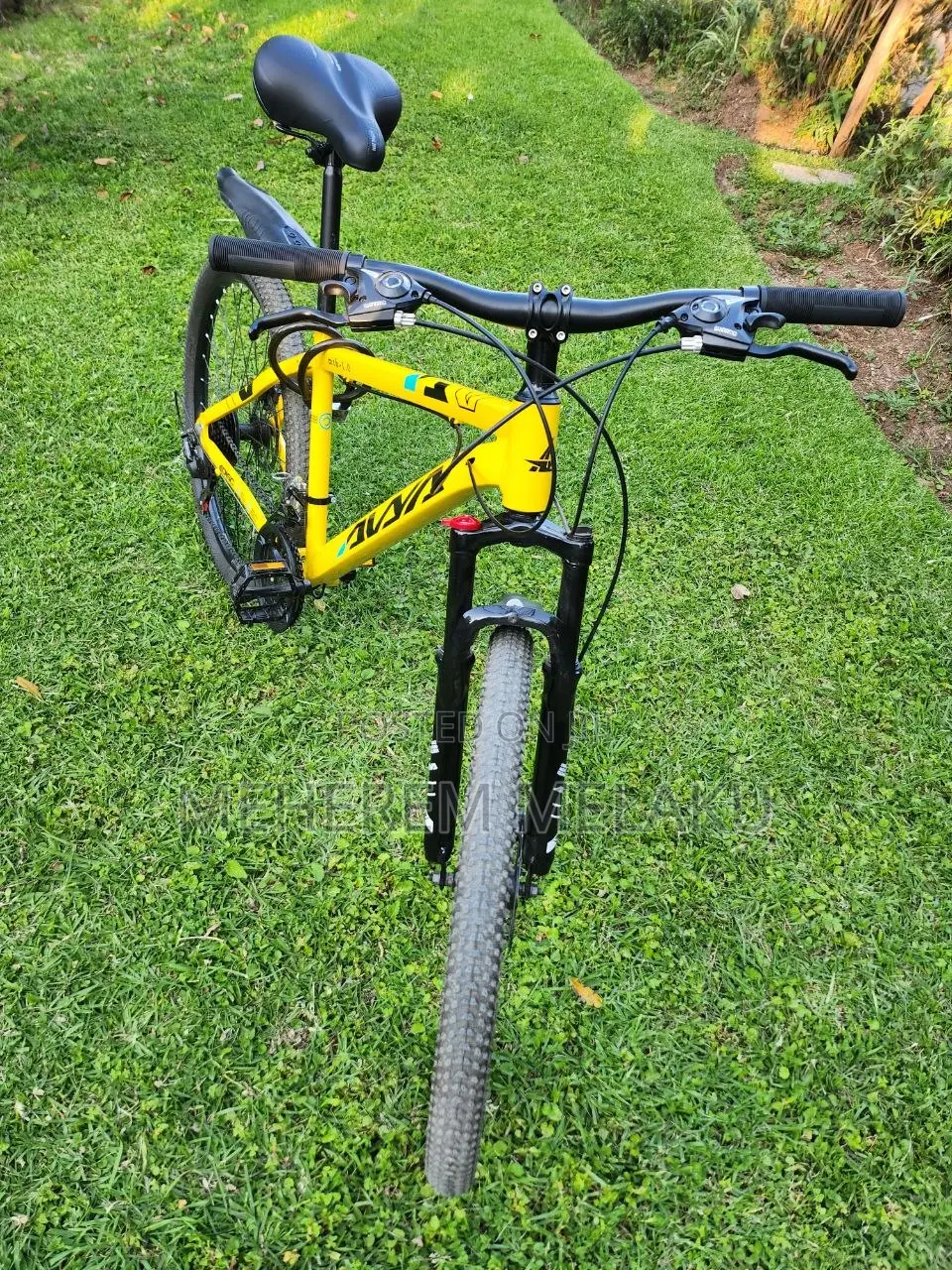 Mountain Bicycle