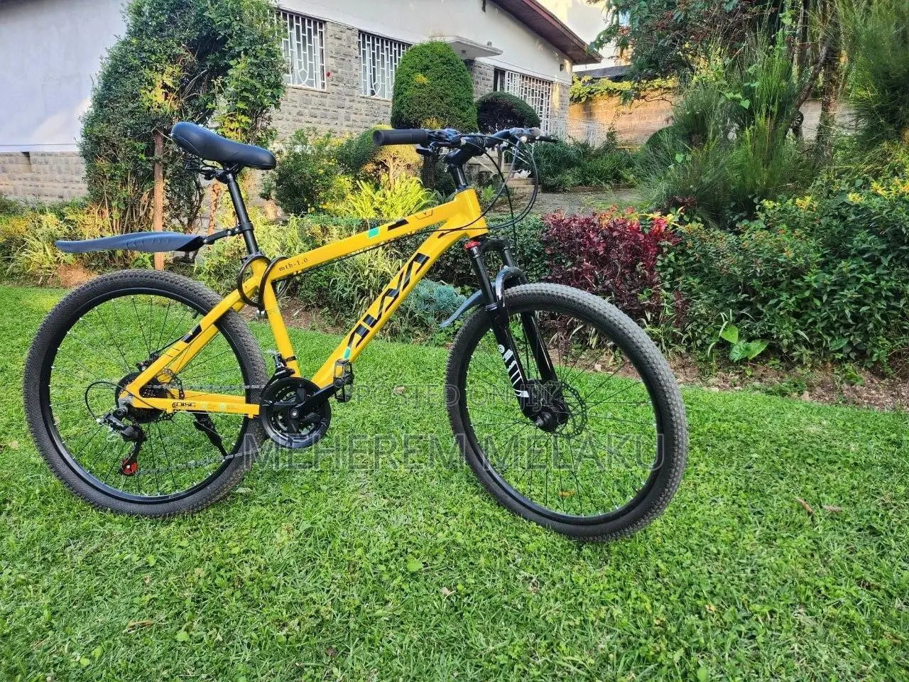 Mountain Bicycle