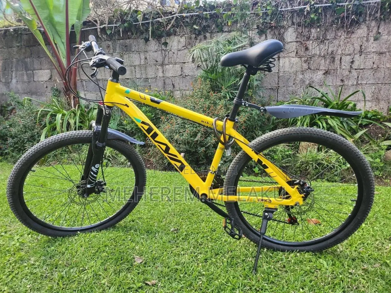 Mountain Bicycle