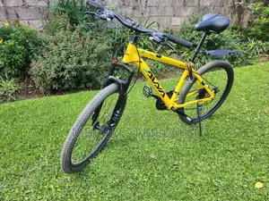 Mountain Bicycle