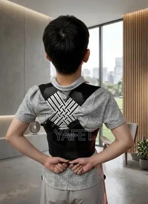 Back Support Belt