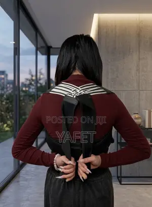 Back Support Belt