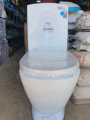 Golden Dragon Toilet Seat With Hand Wash