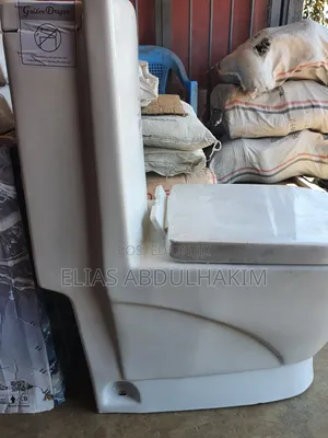Golden Dragon Toilet Seat With Hand Wash