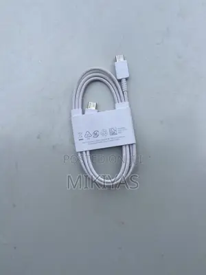 Type C Charger