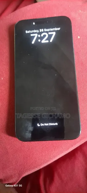 Apple iPhone 15 Pro Max 256 GB Gray