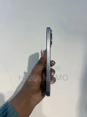 Apple iPhone 15 Pro Max 256 GB Silver