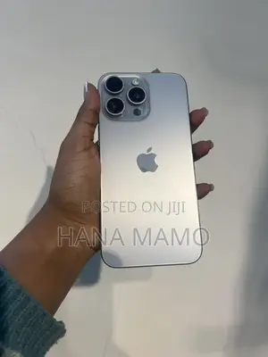 Apple iPhone 15 Pro Max 256 GB Silver