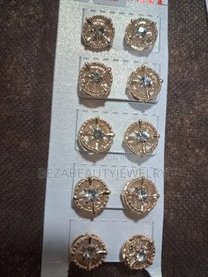 Stainless Earrings
