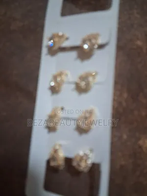 Stainless Earrings