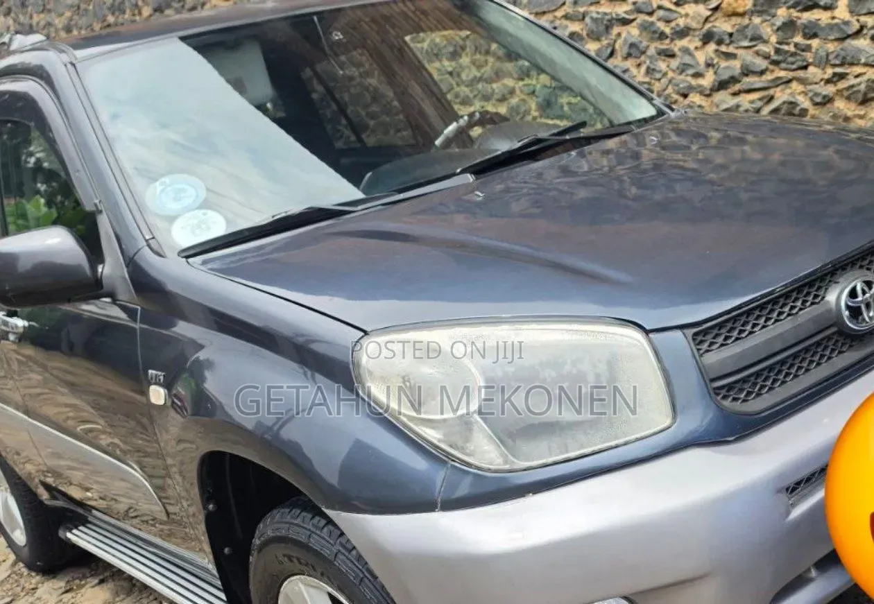 Toyota RAV4 2005 Gray