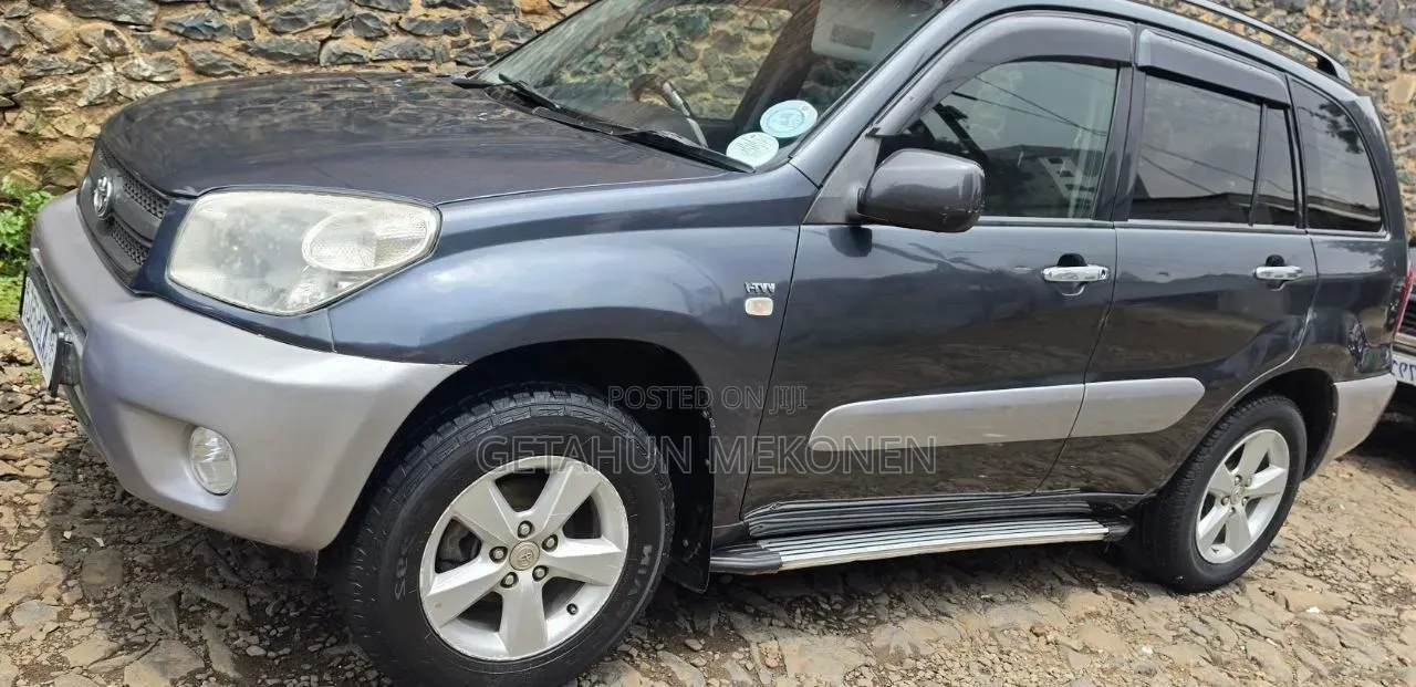 Toyota RAV4 2005 Gray