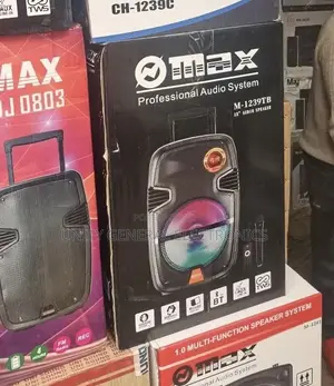 Professional Audio System