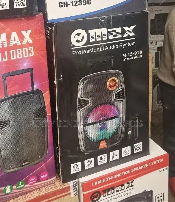 Professional Audio System