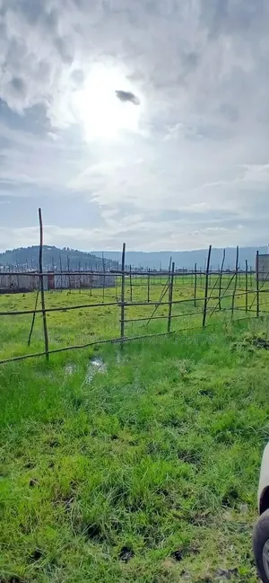 500 M2 LandPlots ForSale at Sheger Legetafo Area