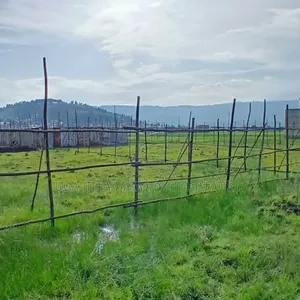 500 M2 LandPlots ForSale at Sheger Legetafo Area