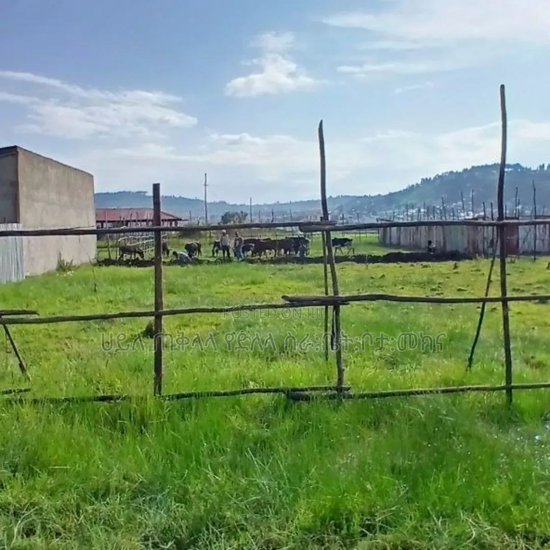 500 M2 LandPlots ForSale at Sheger Legetafo Area