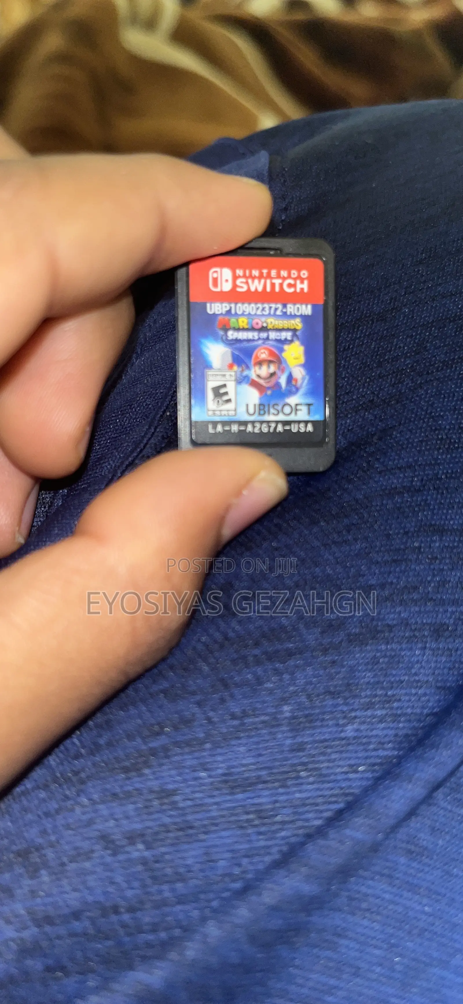 Mario Video Game
