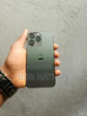 Apple iPhone 13 Pro 256 GB Gray