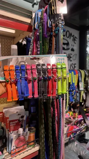 Cat and Puppies Collars