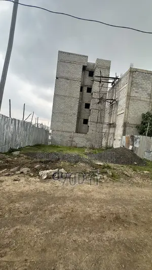 አስቸኳይ የሚሸጥ የሊዝ መሬት ቦታ አያት