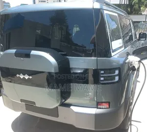 New BYD Leopard 7 2025 Gray