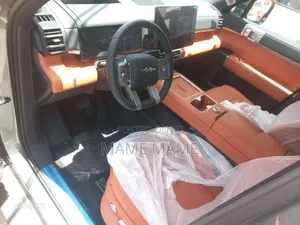 New BYD Leopard 7 2025 Gray