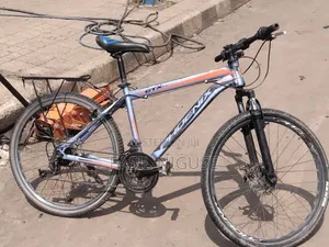 Phonix Bike