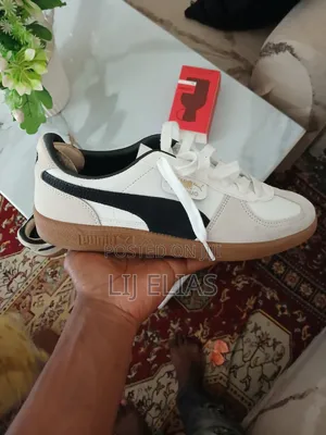 Shoe Brand