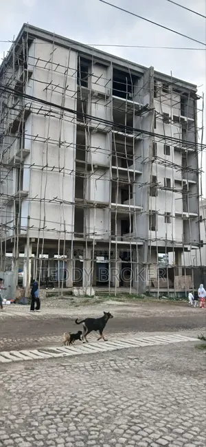 14bdrm House in Haile Garment, Nifas Silk-Lafto for sale