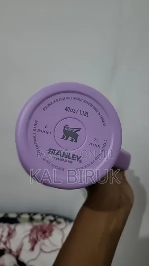 Stanley Mug With Straw