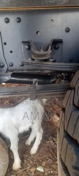 Isuzu Obama