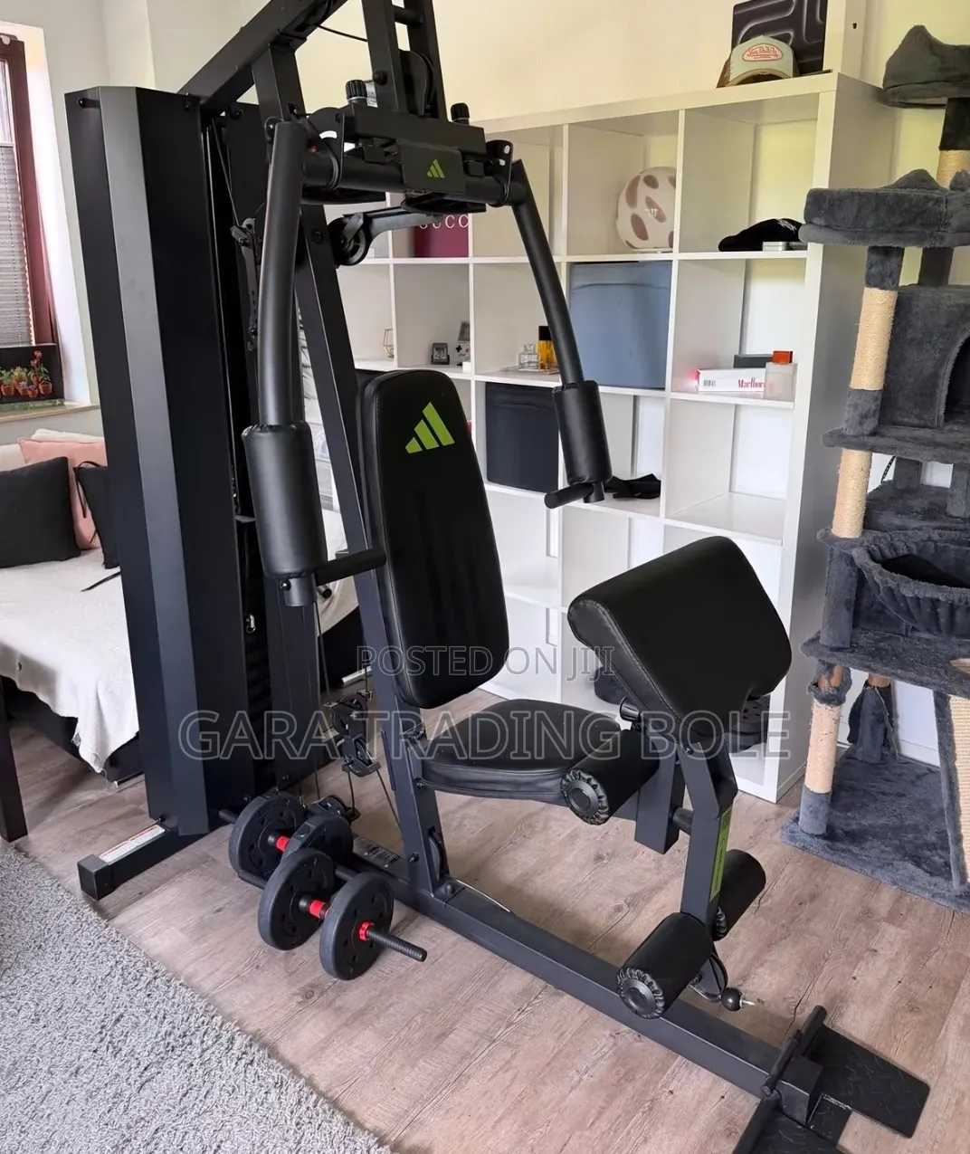Full Body Work Outs