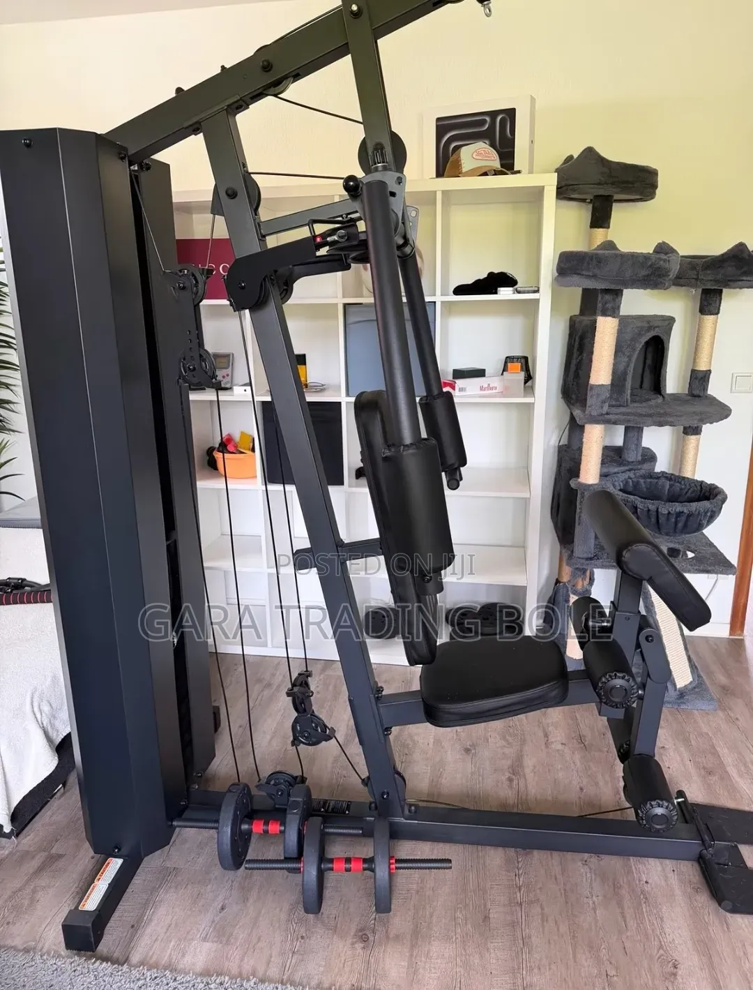 Full Body Work Outs