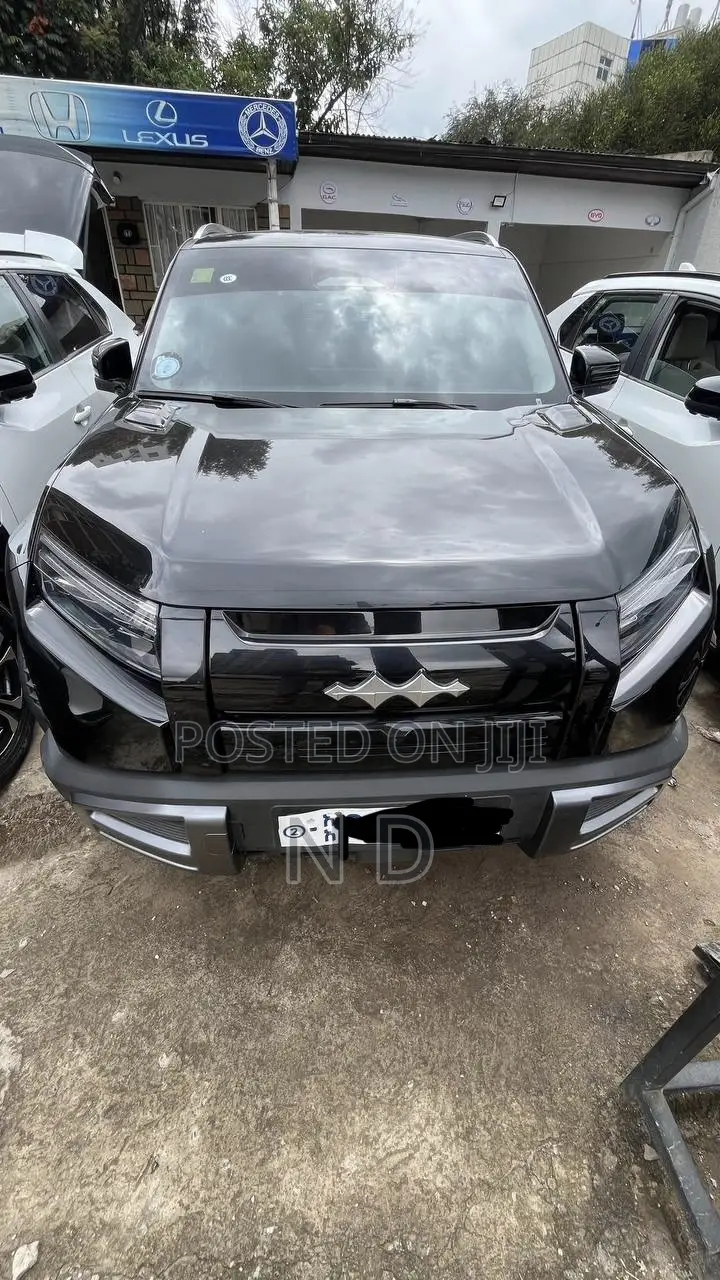 BYD Leopard 3 2025 Black