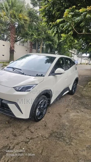 New BYD Seagull 2025 White