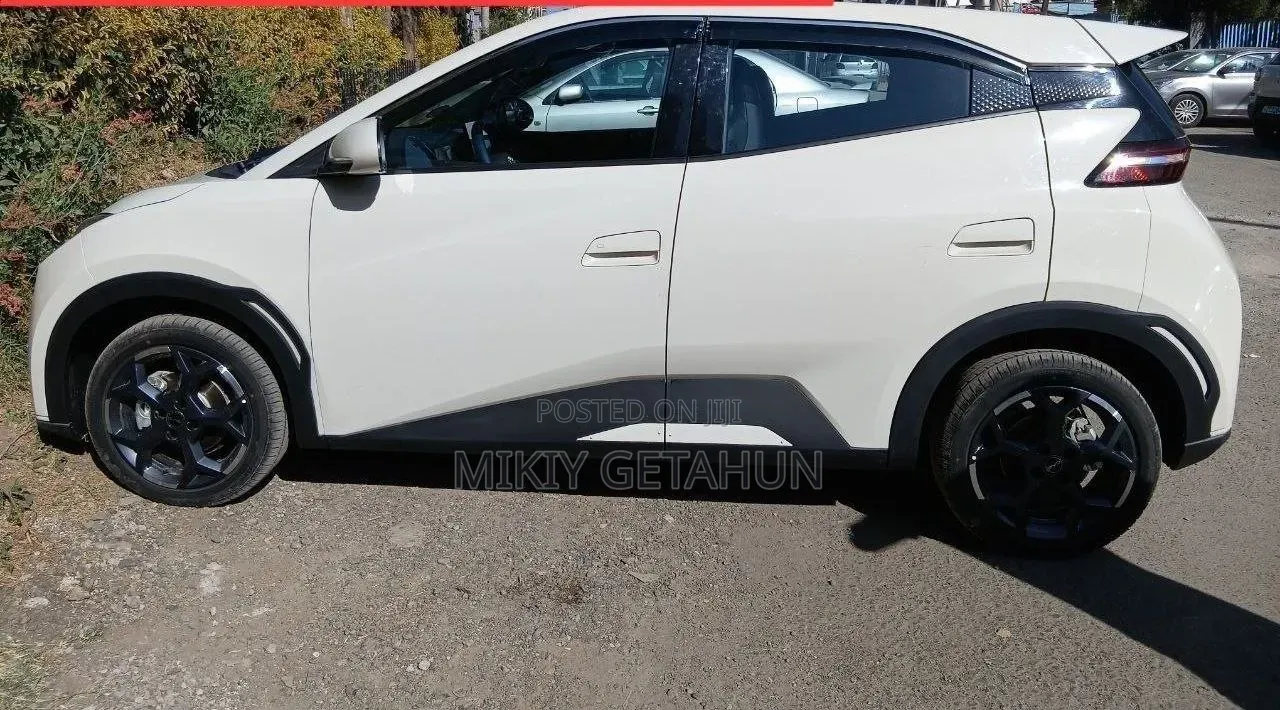 New BYD Seagull 2025 White