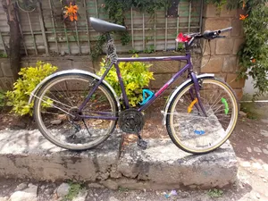 Phoenixbike