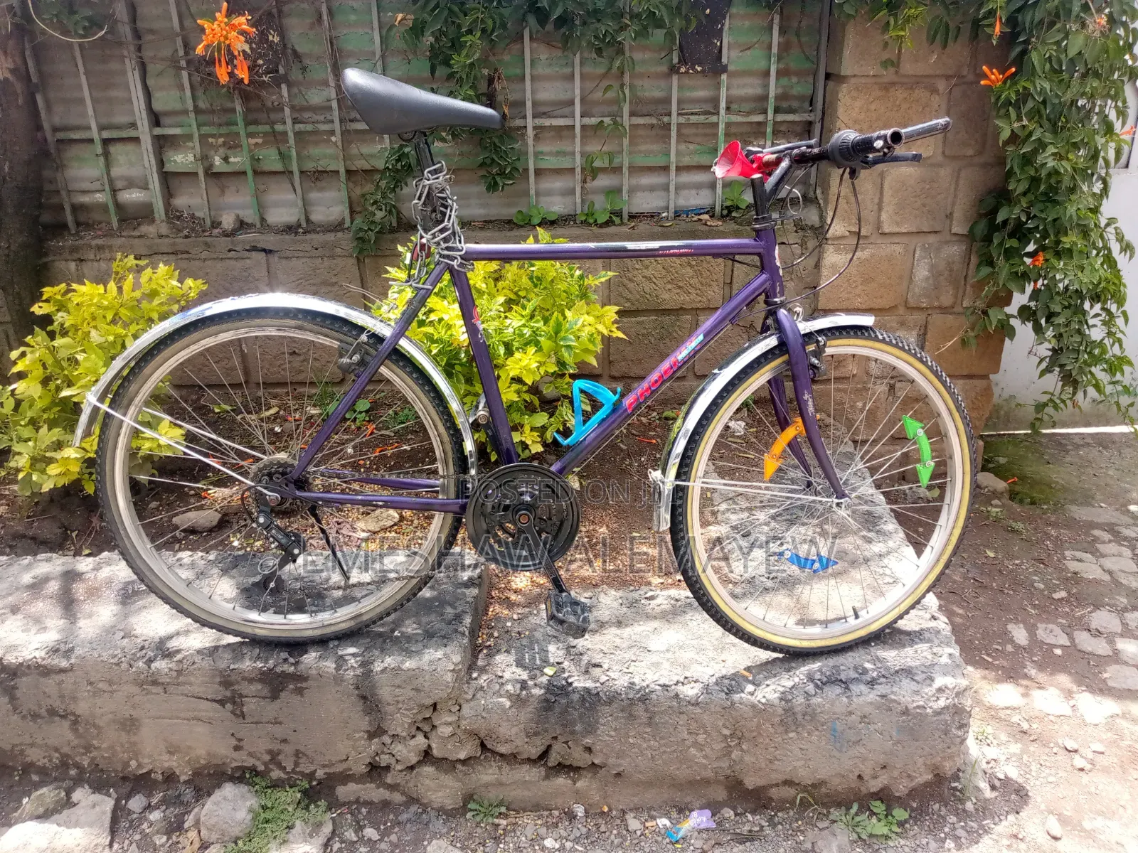 Phoenixbike