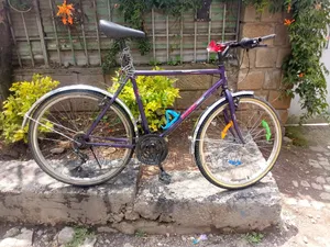 Phoenixbike