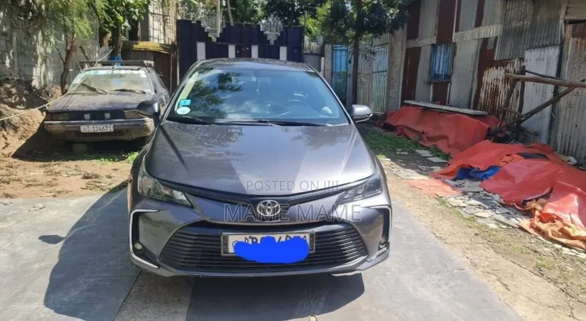 Toyota Corolla 2020 Gray